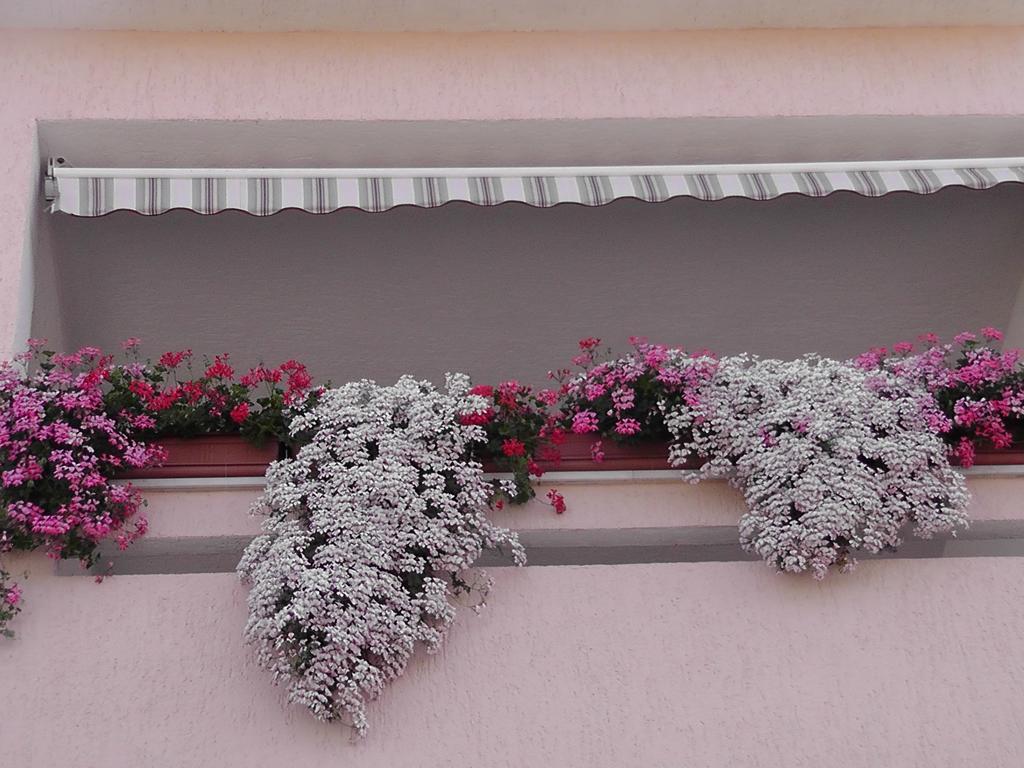 Apartments Lavanda 1 ニヴィーチェ エクステリア 写真
